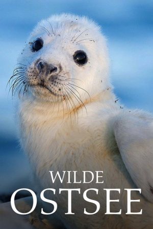 Wild Baltic Sea (2017) poster