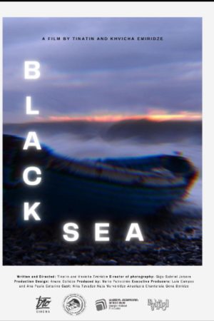 Black Sea (2021) poster
