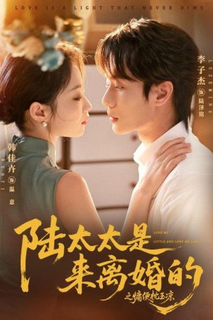 陆太太是来离婚的之慵便枕玉凉 (2026) poster