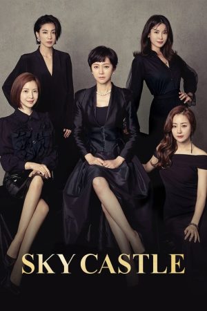 SKY Castle (2018) poster