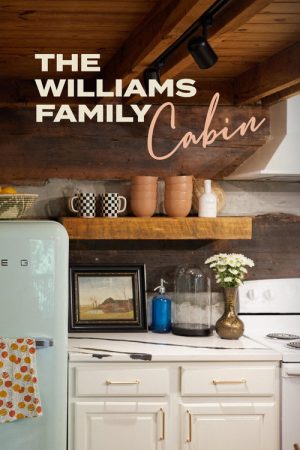 The Williams Family Cabin (2022) poster