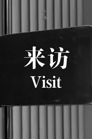 Visit (2020) poster