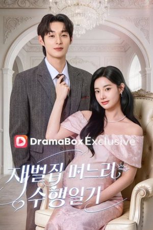 Diary of a Billionaire’s Daughter-in-Law (2026) poster