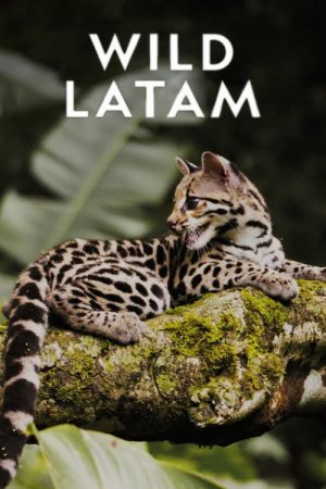 Wild Latam (2020) poster