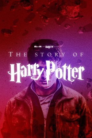 The Story of Harry Potter (2018) poster