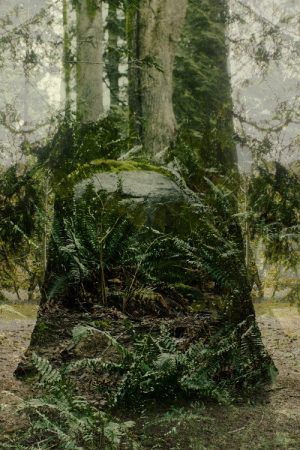Vertical Remains (2026) poster