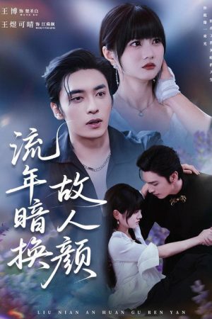 流年暗换故人颜 (2025) poster