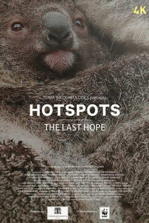 Hotspots: la última esperanza (2019) poster