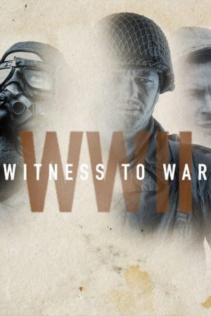 World War II: Witness to War (2017) poster