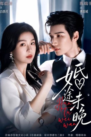 婚途未晚 (2026) poster