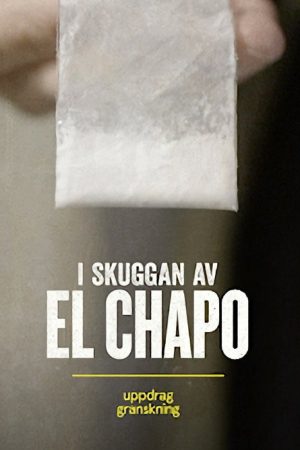 Uppdrag granskning: I skuggan av El Chapo (2021) poster