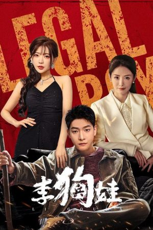 Legal Boy (2025) poster