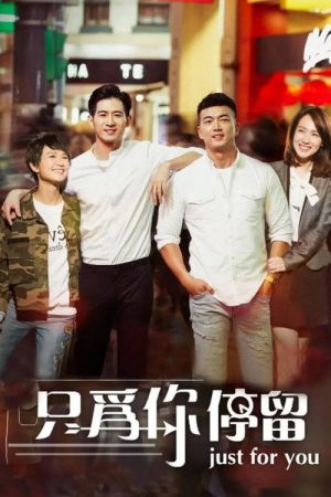 只为你停留 (2017) poster