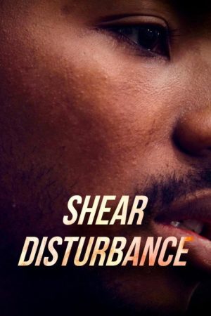 Shear Disturbance (2023) poster
