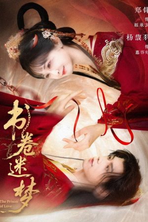 书卷迷梦 (2025) poster