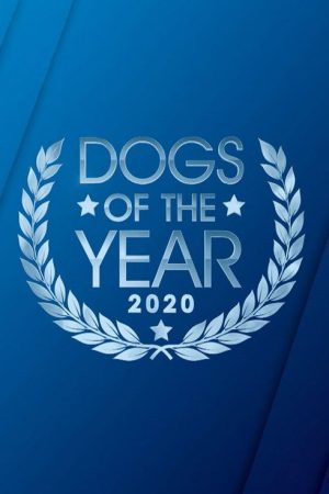 Dogs of the Year (2019) poster