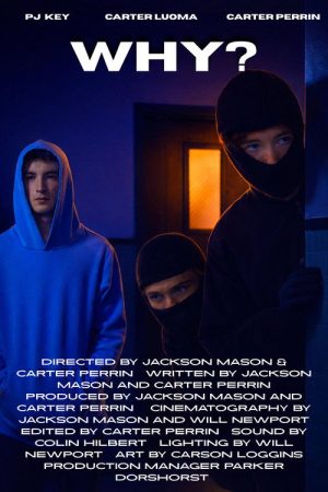 Why? (2026) poster