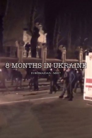 8 Months in Ukraine (2017) poster