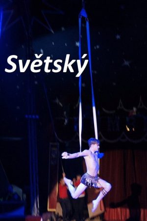 Světský (2017) poster