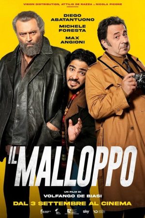 Il malloppo (2026) poster