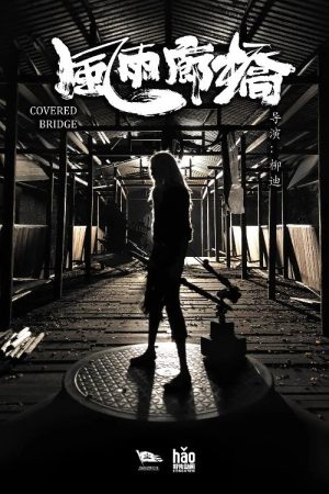 Bridge (2019) poster
