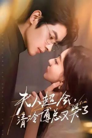 夫人超會，清冷傅總又哭了 (2025) poster
