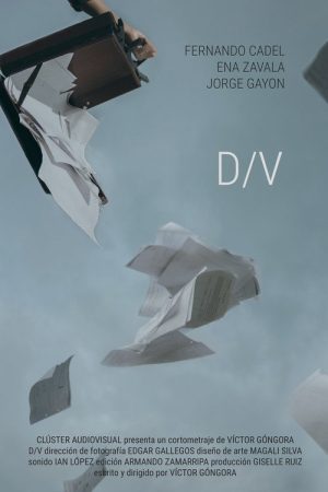 D/V (2019) poster