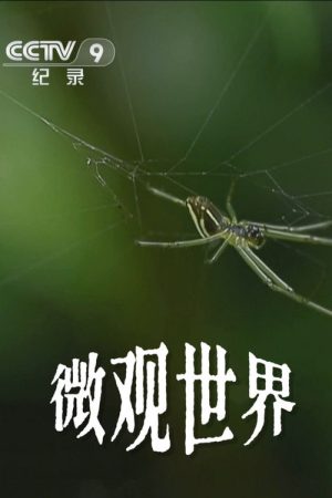 微观世界 (2017) poster
