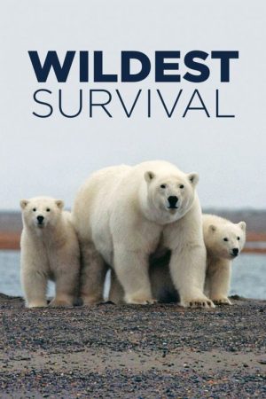 Wildest Survival (2018) poster