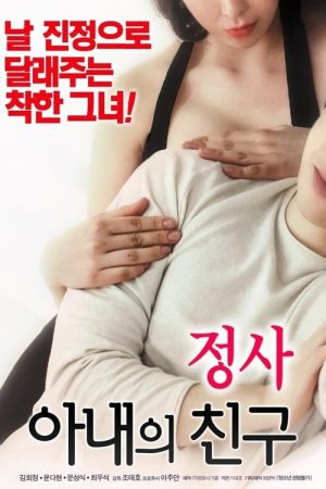 An Affair: My Wife’s Friend (2018) poster