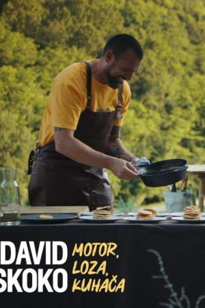 David Skoko: Motor, loza, kuhača (2023) poster