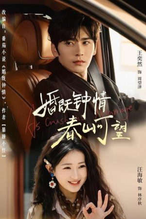 婚既钟情，春山可望 (2026) poster