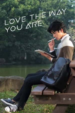 Love The Way You Are (2019) poster