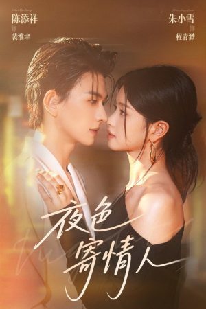 夜色寄情人 (2025) poster