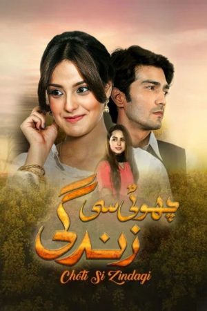 Choti Si Zindagi (2016) poster