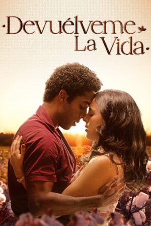 Love of My Life (2024) poster
