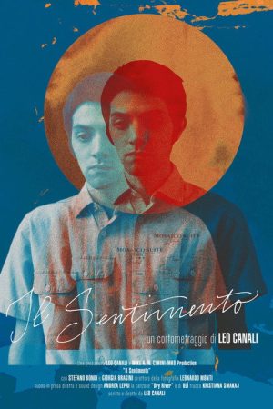 Il Sentimento (2016) poster