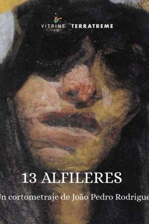 13 Alfinetes (2025) poster