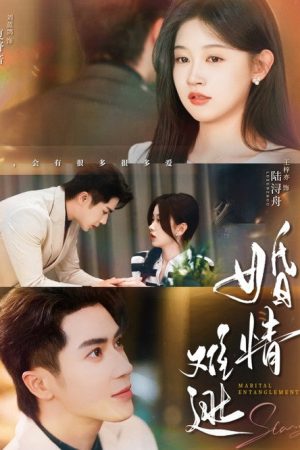 婚情难逃 (2025) poster