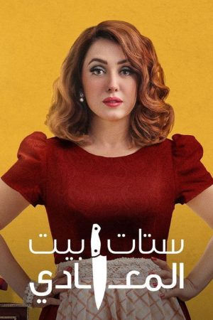 Ladies of Maadi House (2021) poster