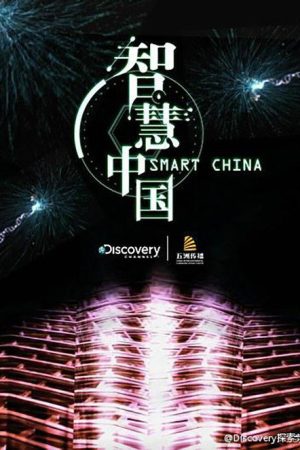 智慧中国 (2016) poster