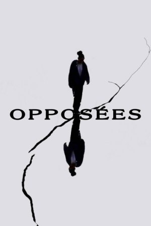 Opposites (2022) poster