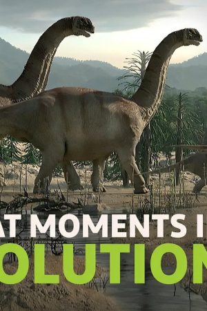 Great Moments in Evolution (2019) poster