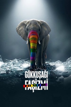 Gökkuşağı Faşizmi (2026) poster