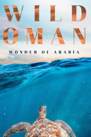 Wild Oman: Wonder of Arabia (2022) poster