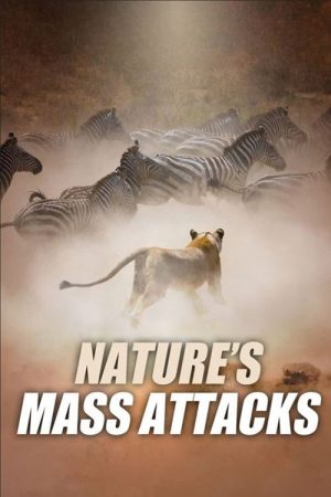 Nature’s Mass Attacks (2022) poster