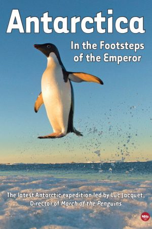 Antarctica, in the footsteps of the Emperor (2016) poster