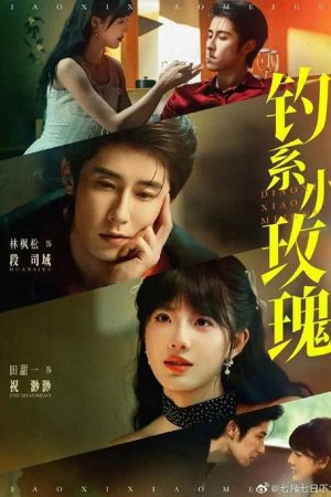 钓系小玫瑰 (2025) poster