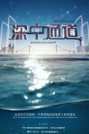 深中通道 (2023) poster