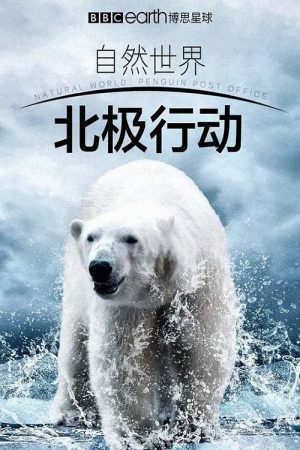 北极行动 (2016) poster